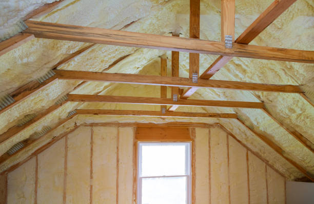 Best Energy-efficient Insulation  in Madisonville, KY